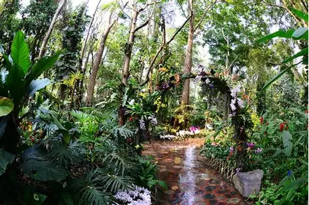 热带植物园
